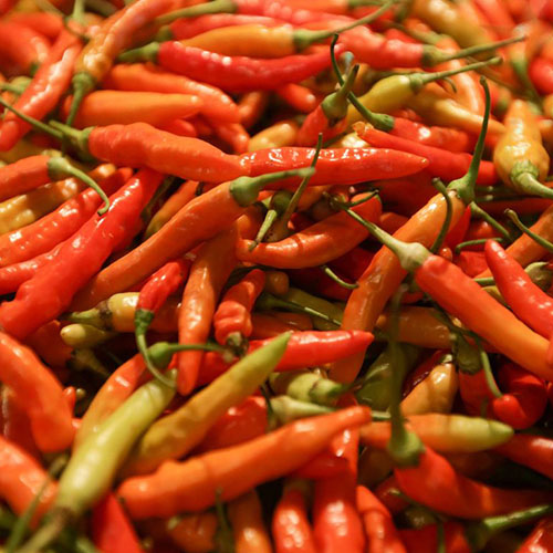 Chili