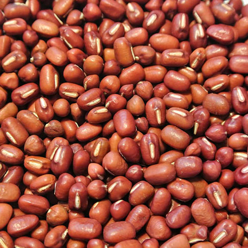 Adzuki Bean