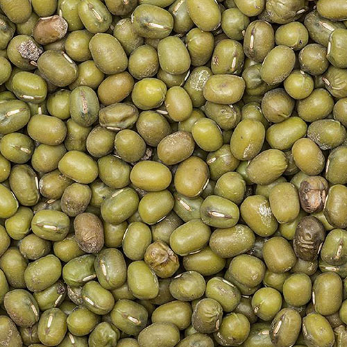 Mung Bean
