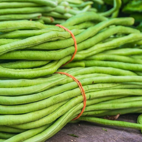 Long Bean