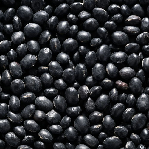 Black Bean