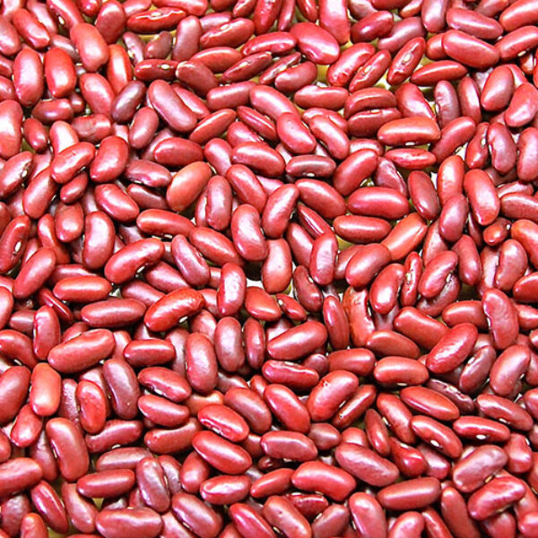 Red Kidney Bean