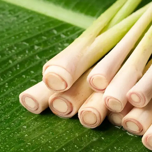Lemongrass