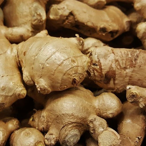 Ginger
