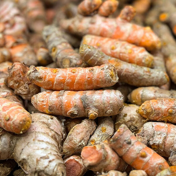 Turmeric