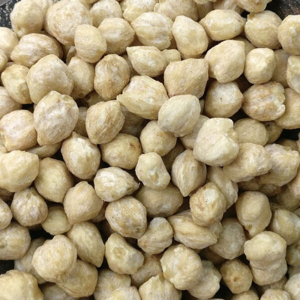 Candlenut