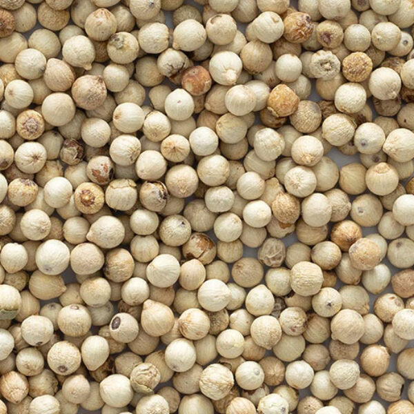 White Pepper